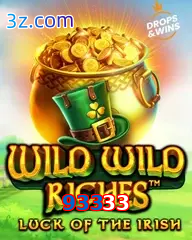 93333 slot wild wild riches